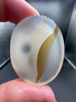 Designer Dendritic Agate Cabochon #8