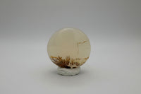 Designer Dendritic Agate Cabochon #2