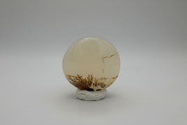 Designer Dendritic Agate Cabochon #2