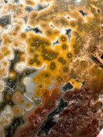 8th Vein Ocean Jasper Slab #40