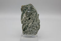 8th Vein Ocean Jasper Slab #18