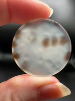 Scenic Dendritic Agate Cabochon #1