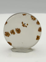 Scenic Dendritic Agate Cabochon #1