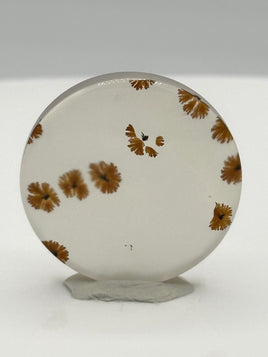 Scenic Dendritic Agate Cabochon #1