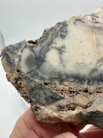 Dendritic Opal Slab