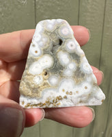 8th Vein Ocean Jasper Polished Free Form #14