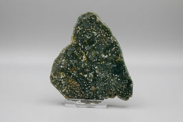 8th Vein Ocean Jasper Slab #27