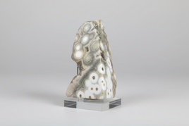 8th Vein Ocean Jasper Polished Free Form #32