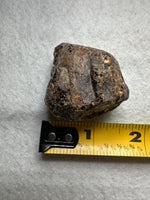 Madagascar Raw Amber Specimen #3