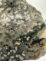 8th Vein Ocean Jasper Slab #21