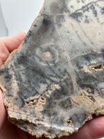 Dendritic Opal Slab