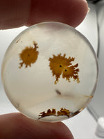 Scenic Dendritic Agate Cabochon #7