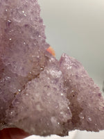 Amethyst Spirit Cactus Cluster, South Africa #3