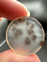 Scenic Dendritic Agate Cabochon #5
