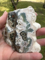 One of a Kind Bunny Shaped 8th Vein Ocean Jasper Slab #2