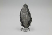 Natural Orthoceras Fossil Specimen #6