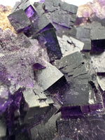 Dark Purple Fluorite Specimen – Melchor Muzquiz, Coahuila, Mexico