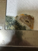 8th Vein Ocean Jasper Slab #108