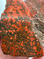 8th Vein Ocean Jasper Slab #7