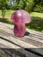 Colorful Fluorite Mushroom Carving #1