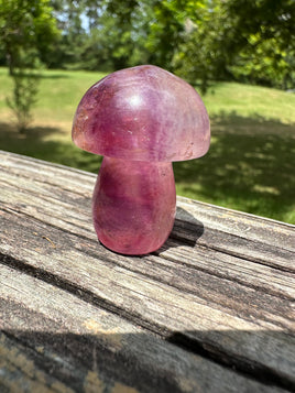 Colorful Fluorite Mushroom Carving #1