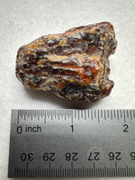 Madagascar Raw Amber Specimen #18