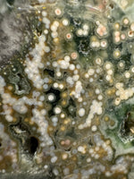 8th Vein Ocean Jasper Slab #14