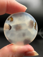 Scenic Dendritic Agate Cabochon #10