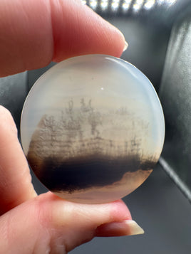 Designer Dendritic Agate Cabochon #12
