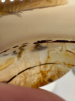 Designer Dendritic Agate Cabochon #4