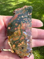 8th Vein Ocean Jasper Slab #109