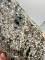 8th Vein Ocean Jasper Slab #16