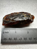 Madagascar Raw Amber Specimen #12
