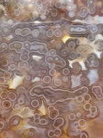 8th Vein Ocean Jasper Slab #66