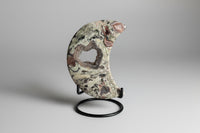 Money Agate Carved Moon #3