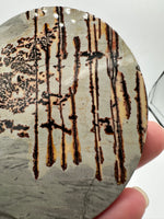 Natural Picture Jasper Slab with Stand #12