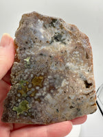 8th Vein Ocean Jasper Slab #47