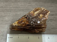 Natural Amber Calcite Raw Specimen UV Reactive #13