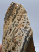 8th Vein Ocean Jasper Slab #15