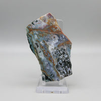 8th Vein Ocean Jasper Slab #84