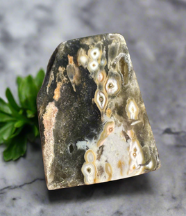 8th Vein Ocean Jasper Polished Free Form #10