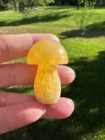 Colorful Fluorite Mushroom Carving #8