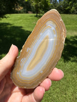 Agate Slice #18