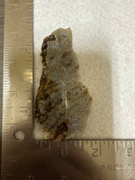 8th Vein Ocean Jasper Slab #115