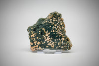 8th Vein Ocean Jasper Slab #50