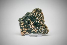 8th Vein Ocean Jasper Slab #50