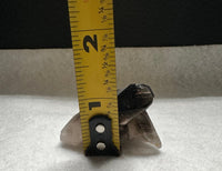 Smoky Quartz, Irradiated, Collier Creek, Mt. Ida, Arkansas