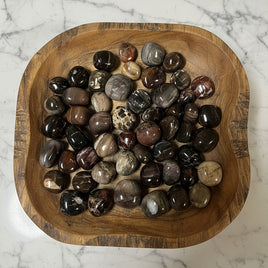 Petrified Wood Tumbles