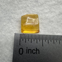 Fossil Insect Inclusion in Burmese Amber #4
