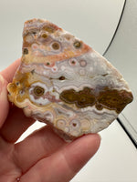 8th Vein Ocean Jasper Slab #48